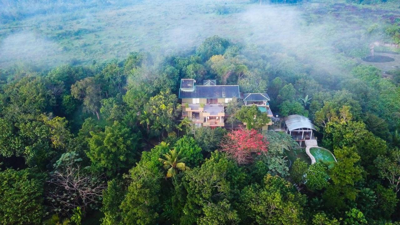 Mangrove Escapes Resort Bentota Exterior photo